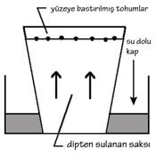 dipten-saksı-sulama-sekli