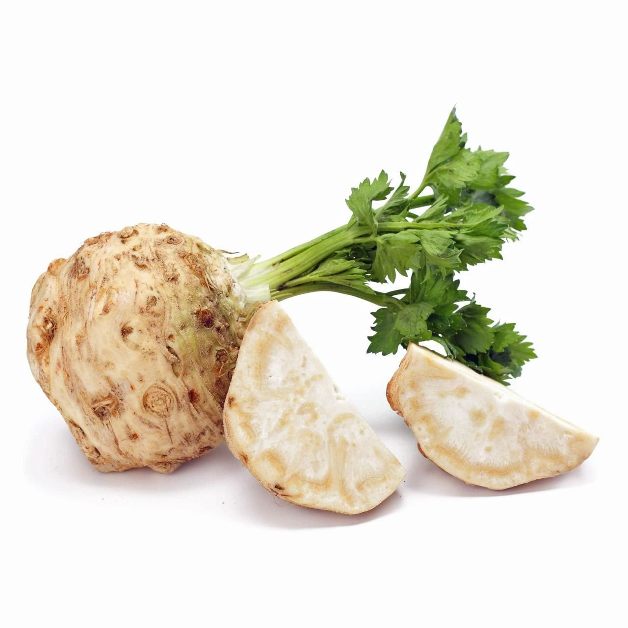 Kök kereviz tohumu giant prague celeriac