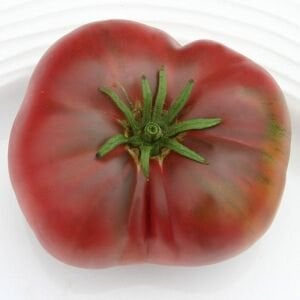 Mor Cüce Domatesi Tohumu – Dwarf Purple