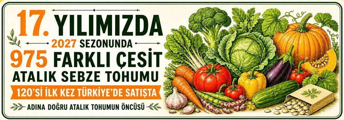 zengarden yeni gelenler