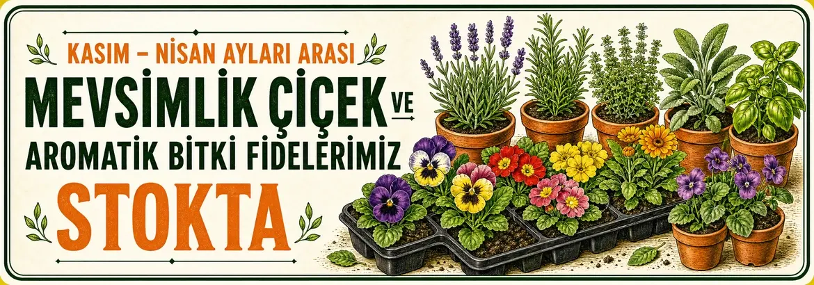 zengarden indirim
