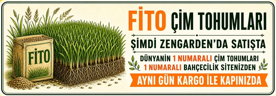 Yazlık çiçek soğanları