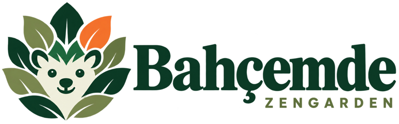 Bahçemde · Zengarden