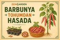 Barbunya yetiştirme bilgileri için tıklayın