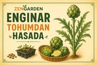 Enginar yetiştirme bilgileri için tıklayın