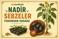 Nadir sebzeler rehberi için tıklayın