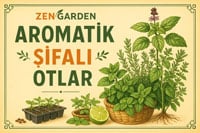 Şifalı ot ve aromatik bitki yetiştirme bilgileri için tıklayın