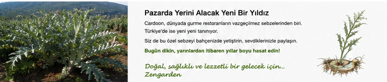 Kardon sebze bahçesi ve hasat görseli