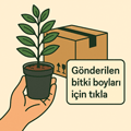 Gönderilen Bitki Boyları için Tıkla