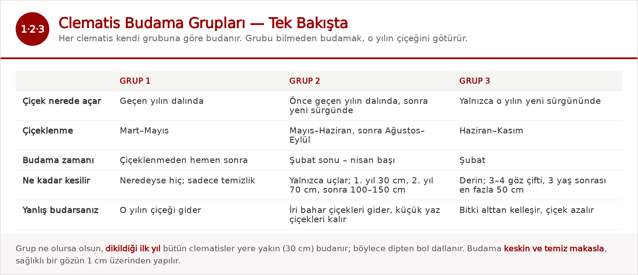 Clematis budama grupları — 1, 2 ve 3. grubun karşılaştırması