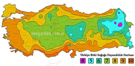 türkiye bitki soğuğa dayanıklılık haritası turkey hardiness zones