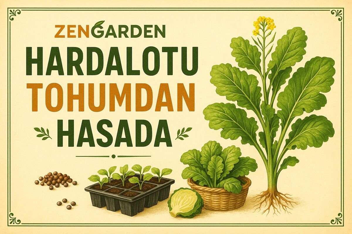 Hardalotu Tohumu Nasıl Ekilir? Ekim, Bakım ve Hasat Rehberi