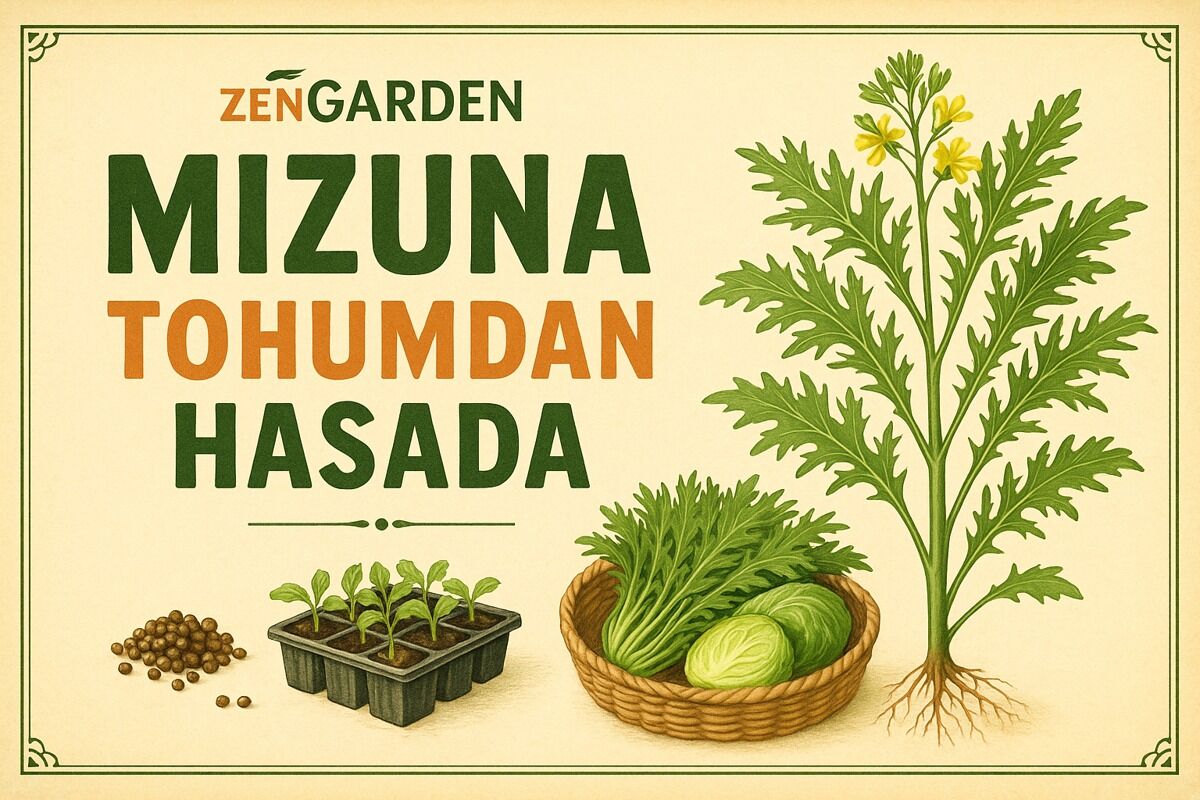 Mizuna Tohumu Nasıl Ekilir? Ekim, Bakım ve Hasat Rehberi