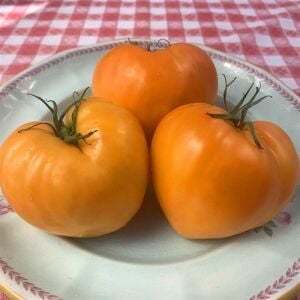 Homer Fike’ın Altın Kalbi Domatesi Tohumu – Atalık Kalp Biçimli Sarı Domates