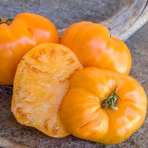 Homer Fike’ın Altın Kalbi Domatesi Tohumu – Atalık Kalp Biçimli Sarı Domates