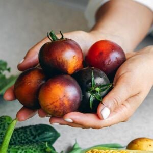 İndigo Elması Domatesi Tohumu – Antosiyanin Zengini Siyah-Mor Domates