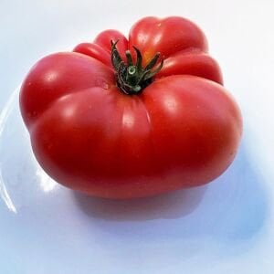 Cüce Tatlı Kızıl Domatesi Tohumu – Aromatik ve Kompakt Dwarf Tomato Project