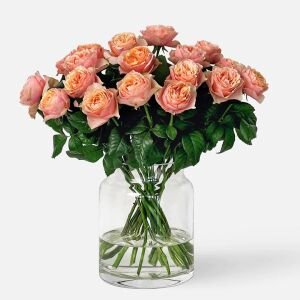 Orange Pompon® Kordes Gül Fidanı | Turuncu Pompon Çiçekli Yediveren Gül