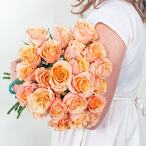 Orange Pompon® Kordes Gül Fidanı | Turuncu Pompon Çiçekli Yediveren Gül