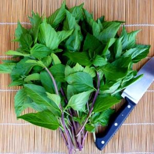 Tayvan fesleğen tohumu thai basil
