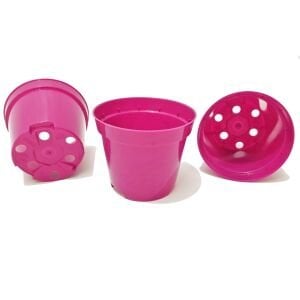 Renkli kaktüs sukulent saksısı 5,5 cm çaplı