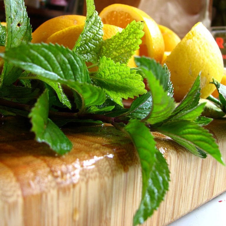 Peppermint ingiliz nanesi tohumu mentha piperita