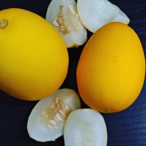 Sarmaşık şeftali kavun tohumu geleneksel vine peach turşuluk