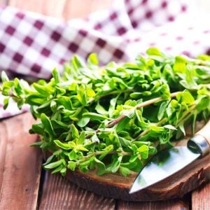 Mercanköşk tohumu kekik otu origanum majorana sweet marjoram