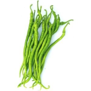 Tatlı kıl biber fidesi - yüksek verimli zengarden biber çeşidi