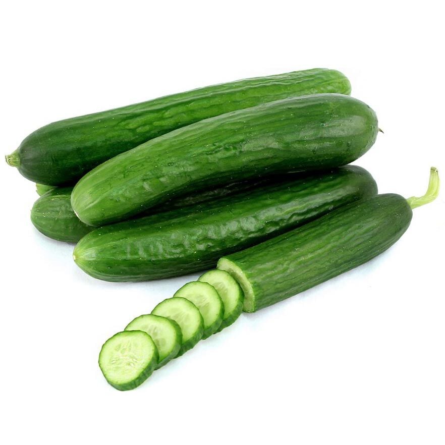 Badem salatalık fidesi - en verimli çeşidimizden zengarden