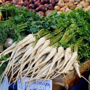 Kök maydanoz tohumu hamburg turnip rooted