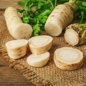 Kök maydanoz tohumu hamburg turnip rooted