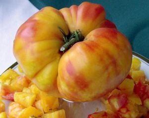 Atalık Alman domatesi tohumu sırık tip 650-850 gram