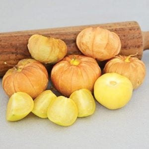 Ananas tomatillo altın çilek tohumu physalis ixocarpa