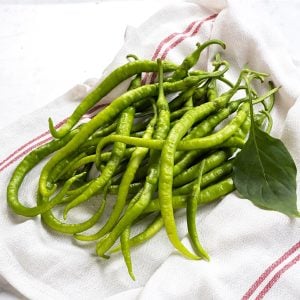 Acı kıl biber tohumu capsicum annuum