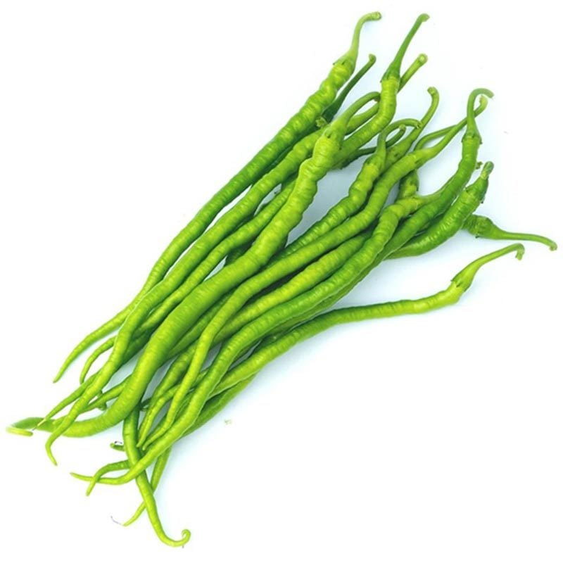 Acı kıl biber tohumu capsicum annuum