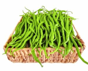 Acı kıl biber tohumu capsicum annuum
