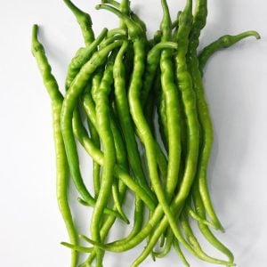 Tatlı kıl biber tohumu capsicum annuum