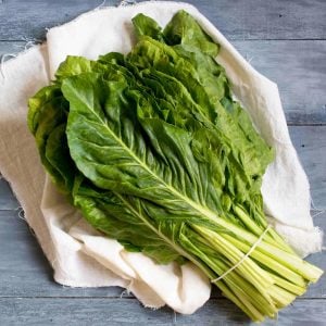 Yerli pazı tohumu chard