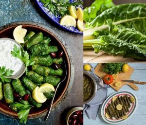 Yerli pazı tohumu chard