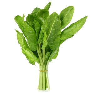 Yerli pazı tohumu chard