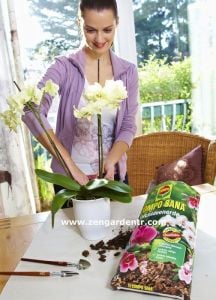 Compo sıvı orkide gübresi 250 ml.