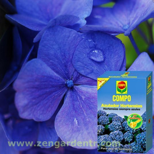 Compo ortanca renklendirici - mavi ortanca elde etmek için 800 gr.