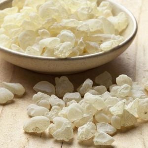 Damla sakız ağacı fidanı Pistacia lentiscus var. Chia