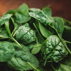 Bloomsdale ıspanak tohumu Atalık