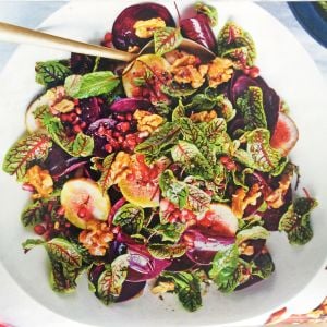 Kuzukulağı tohumu kırmızı damarlı rumex sanguineus