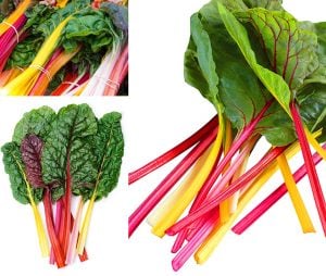 Swiss chard bright lights Pazı tohumu 8 farklı renk atalık