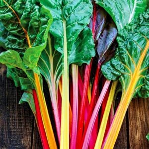 Swiss chard bright lights Pazı tohumu 8 farklı renk atalık