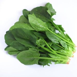 Viroflay ıspanak tohumu salataya uygun