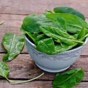 Viroflay ıspanak tohumu salataya uygun